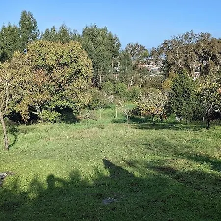 Villa Un Remanso De Paz Y Tranquilidad Vilagarcia de Arousa
