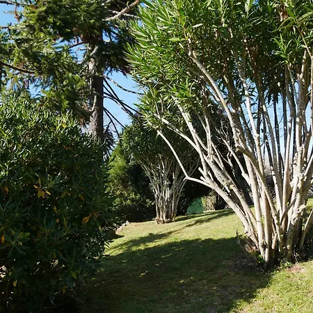 Un Remanso De Paz Y Tranquilidad * Vilagarcia de Arousa